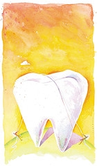 teen teeth
